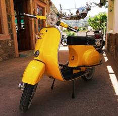 vespa_ant.jpg